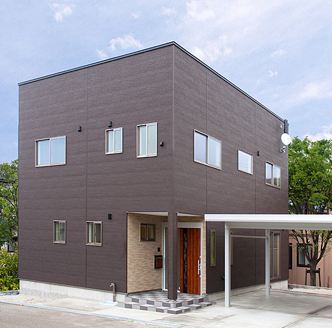 ブラウンの外観