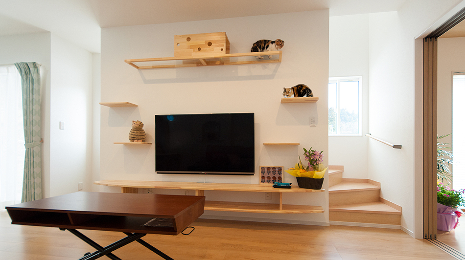 テレビ周りのオリジナル棚はキャットウォークにもなります