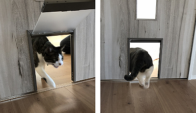 猫のドア