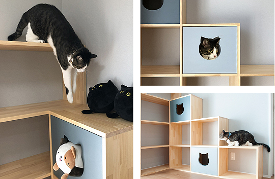 猫の棚